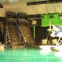 Disney Studios Australia - PRODUCTION STILLS
