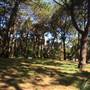 Centennial Park