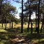 Centennial Park