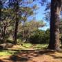 Centennial Park