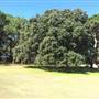 Centennial Park
