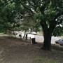 Centennial Park
