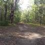 Black Cockatoo Mountain