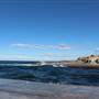 Clovelly Beach