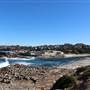 Clovelly Beach