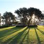 Dunningham Reserve Coogee