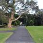 The Domain - Royal Botanic Garden Sydney