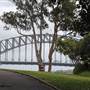 Bennelong Lawn - Royal Botanic Garden Sydney
