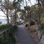 Mrs. Macquarie's Point - Royal Botanic Garden Sydney