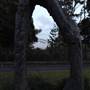 Mrs. Macquarie's Point - Royal Botanic Garden Sydney