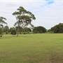 Centennial Park - Ash Paddock