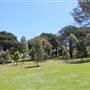 Centennial Park - Belvedere Amphitheatre