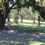 Centennial Park - Brazilian Fields