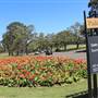 Centennial Park - Cannon Triangle