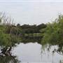 Centennial Park - Church Grounds