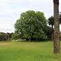 Centennial Park - Lachlan Reserve