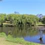 Centennial Park - Musgrave Pond
