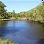 Centennial Park - Musgrave Pond