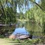 Centennial Park - Musgrave Pond