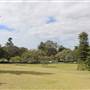 Centennial Park - Paperbark Grove