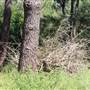 Centennial Park - Sandstone Ridge
