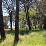 Centennial Park - Sandstone Ridge