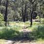 Centennial Park - Sandstone Ridge