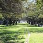 Centennial Park - Federation Way