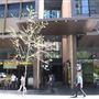 Regent Pl - 501 George St, Sydney