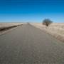 Goulburn Area