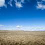 Monaro Plains