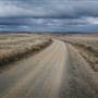 Monaro Plains