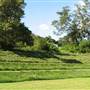 Bedlam Bay Oval adjacent to Gladesville Hospital - Field and River