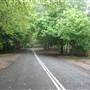 Mount Wilson Roads