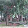 Newtown Cemetery