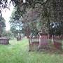 Newtown Cemetery