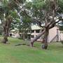 Headland Park - Middle Head