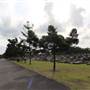 Sandgate Cemetery