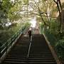 McElhone Stairs