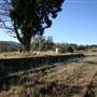 Carcoar Railway station