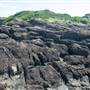Bombo Headland Quarry