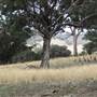Rainevale Park/Mymms Farm