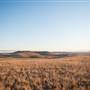 Monaro Plains
