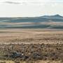 Monaro Plains