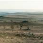 Monaro Plains