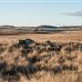 Monaro Plains