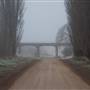 Monaro - Winter Frost