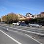 Temora