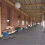Cootamundra