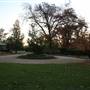 Wagga Wagga Town Centre